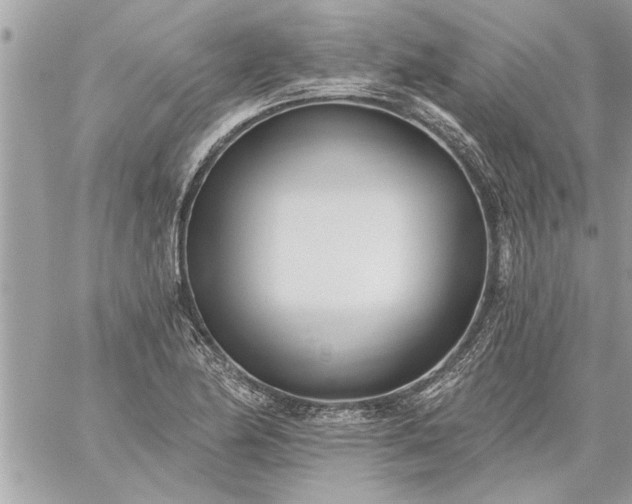 X0000059061174200510171932