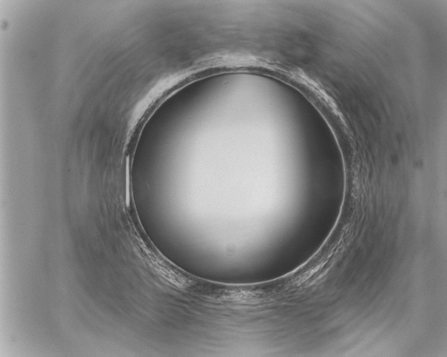 X0000059061175200510171932