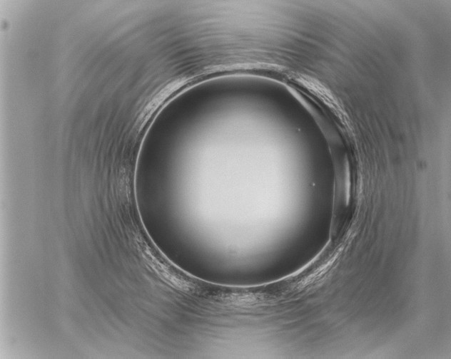 X0000059061177200510171932