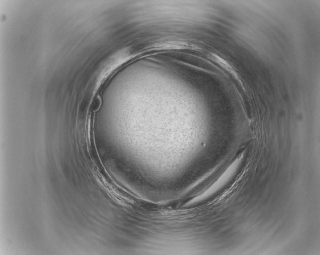 X0000059061179200510171932