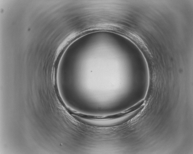 X0000059061180200510171932