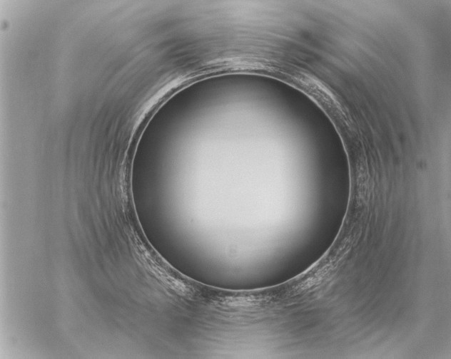 X0000059061182200510171932