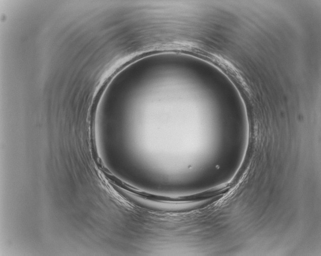 X0000059061184200510171932