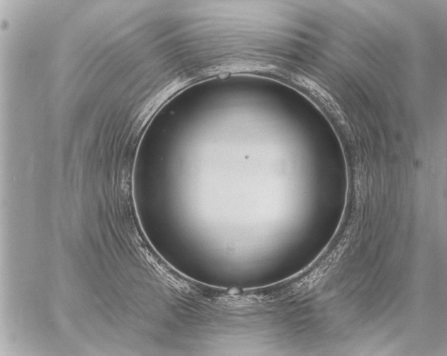 X0000059061185200510171932