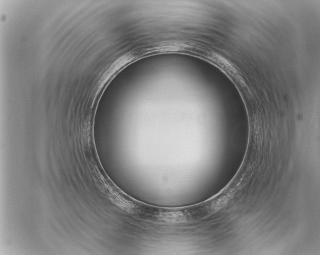 X0000059061186200510171932