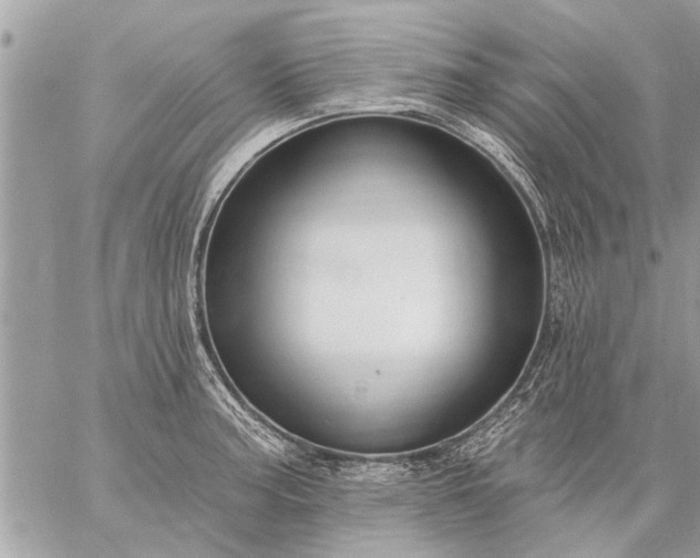 X0000059061187200510171932