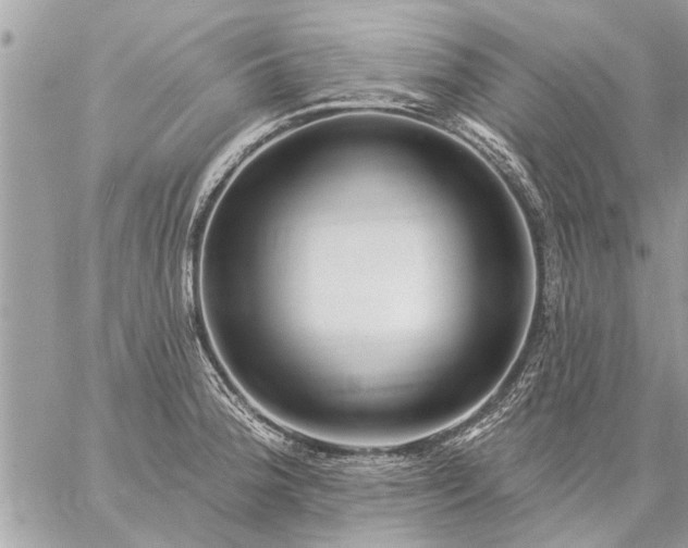 X0000059061188200510171931