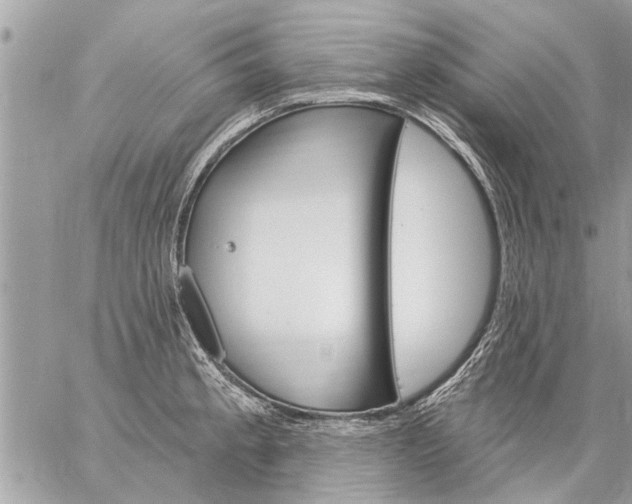 X0000059061189200510171931