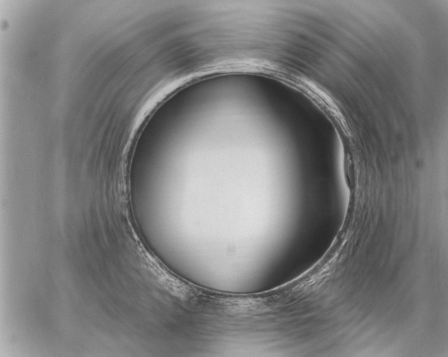 X0000059061192200510171931