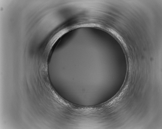 X0000059061193200510171931