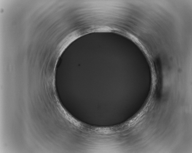 X0000059061194200510171931