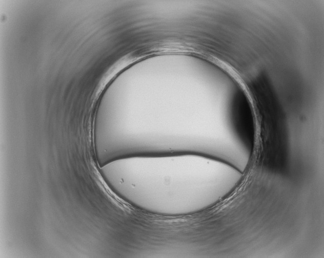 X0000059061195200510171931