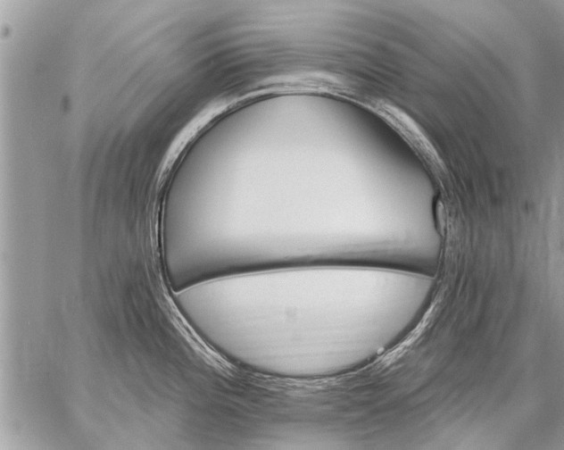 X0000059061196200510171931