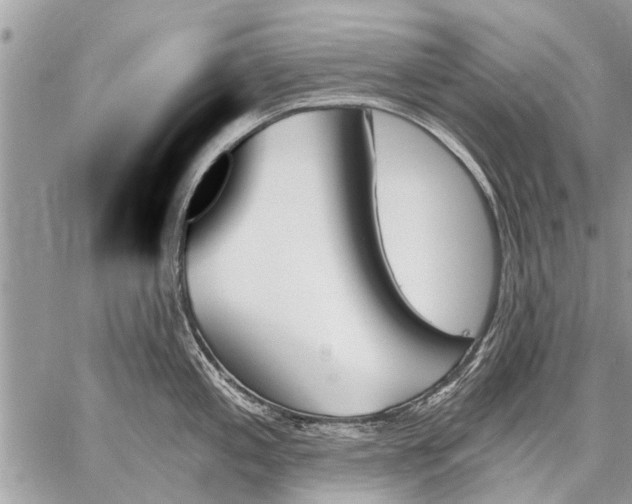 X0000059061197200510171931