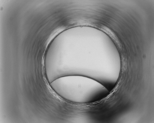 X0000059061198200510171931