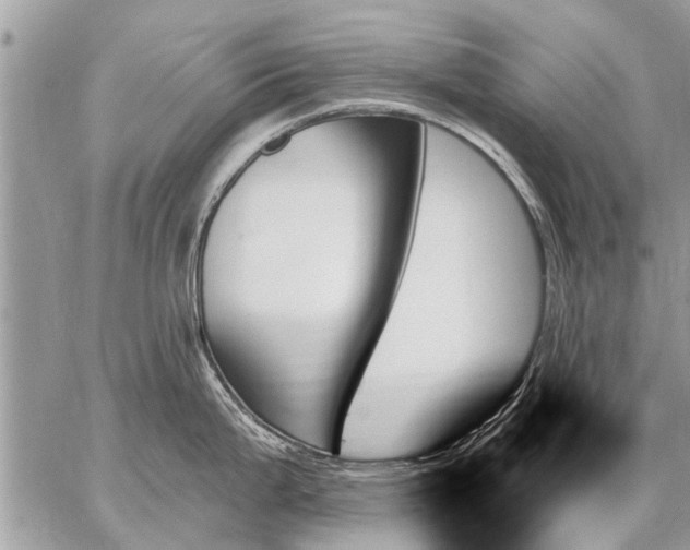 X0000059061199200510171931