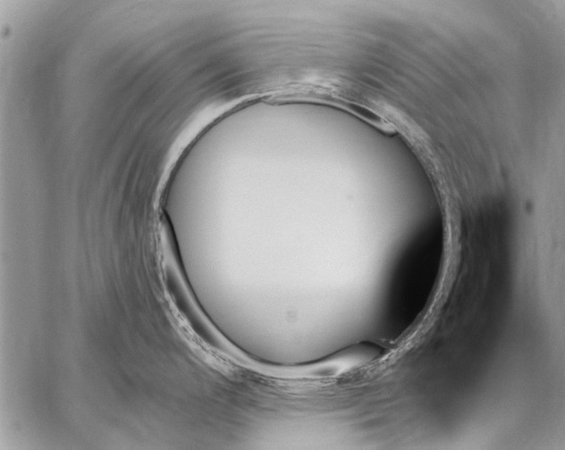 X0000059061200200510171931