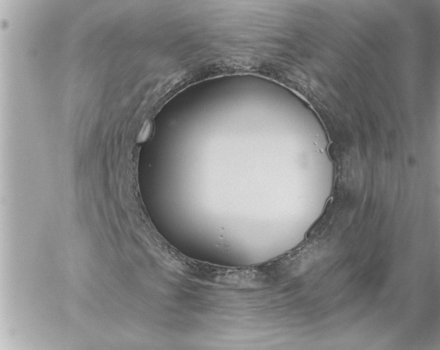 X0000059061201200510171931