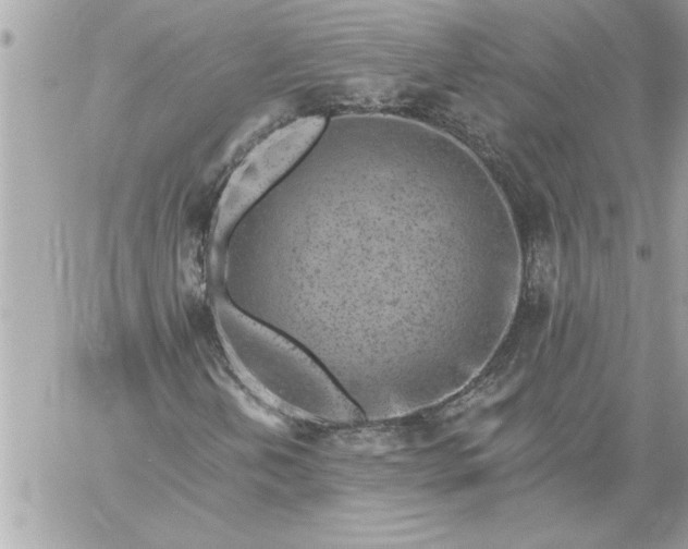 X0000059061202200510171931