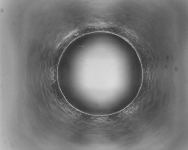 X0000059061205200510171931