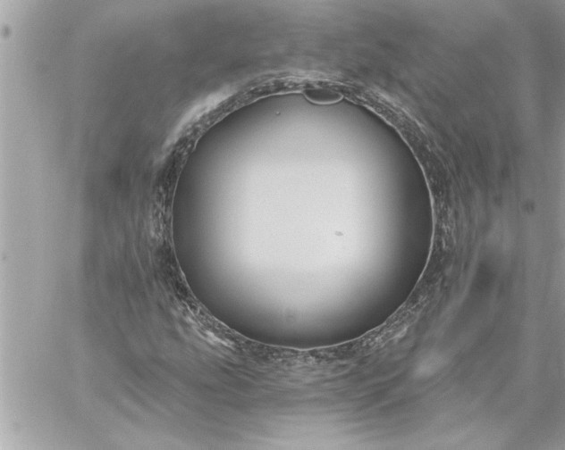 X0000059061207200510171931