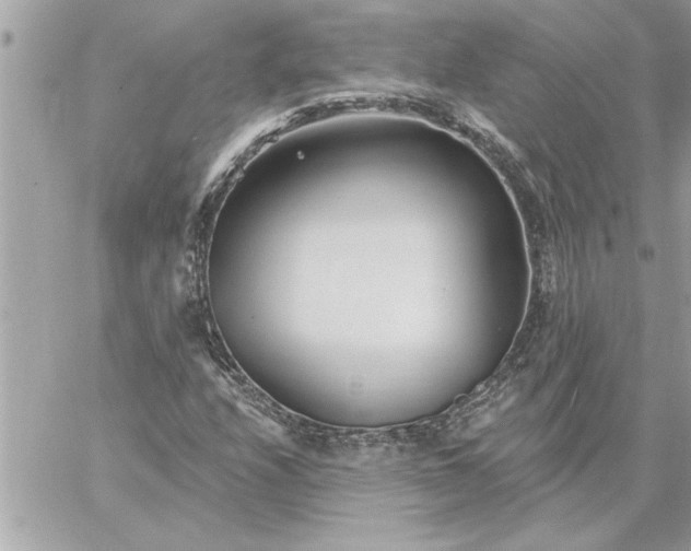 X0000059061208200510171931