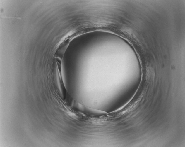 X0000059061210200510171931