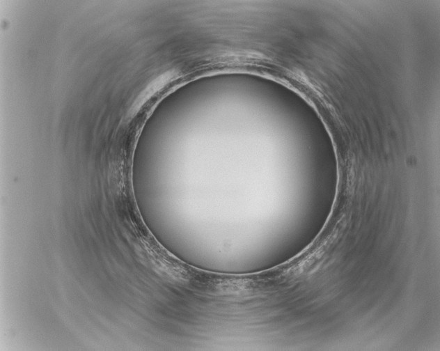 X0000059061211200510171931