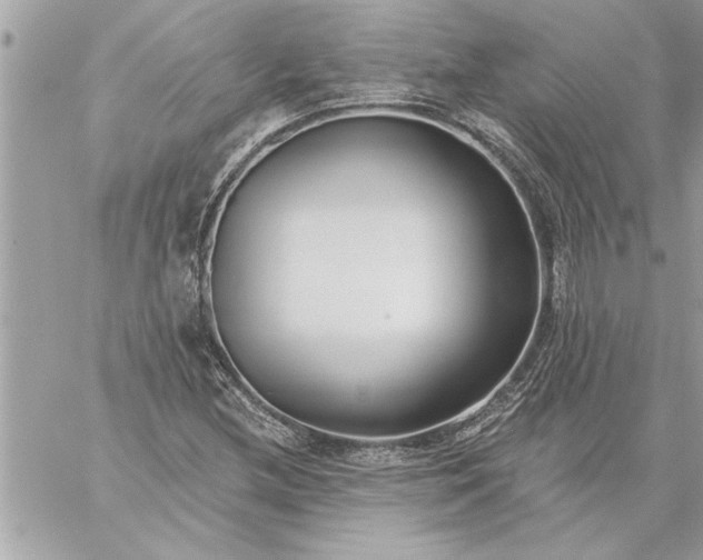 X0000059061212200510171931