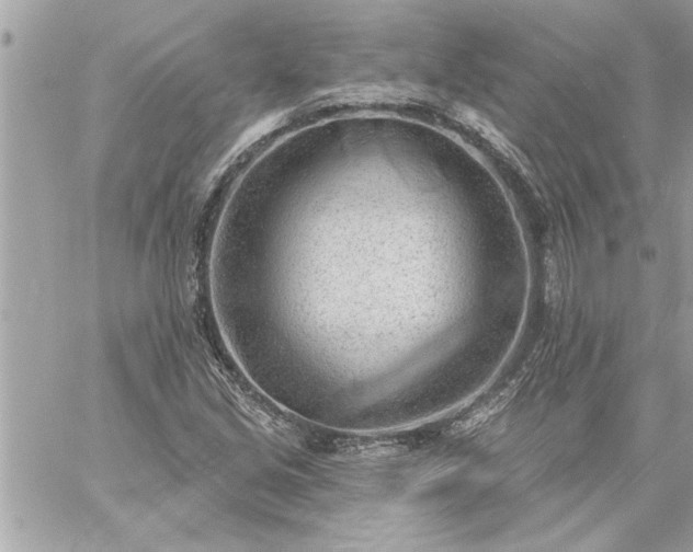 X0000059061213200510171931