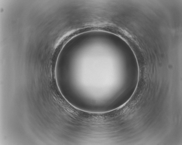 X0000059061214200510171931