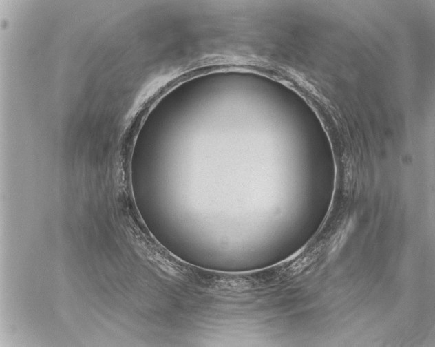 X0000059061215200510171931