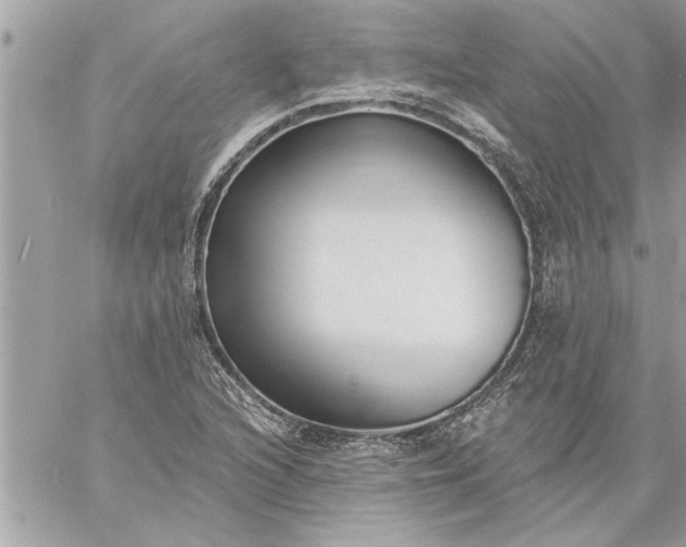 X0000059061216200510171931