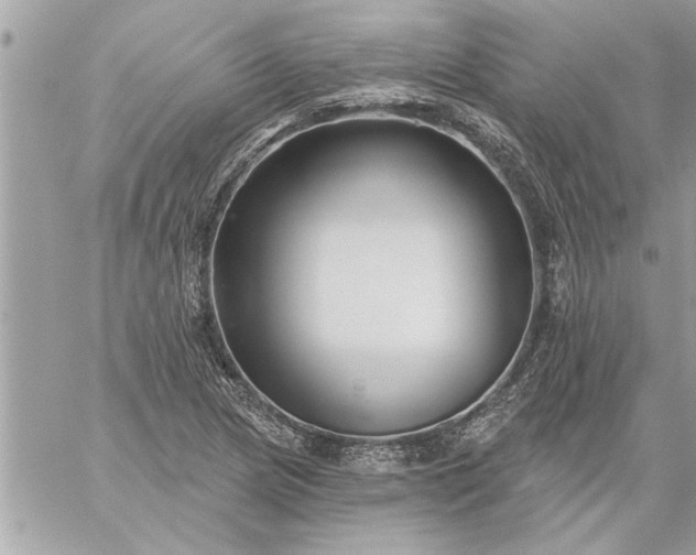 X0000059061217200510171931