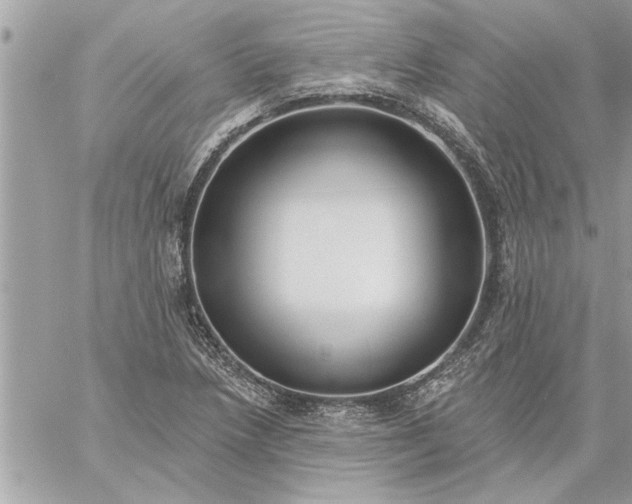 X0000059061218200510171931