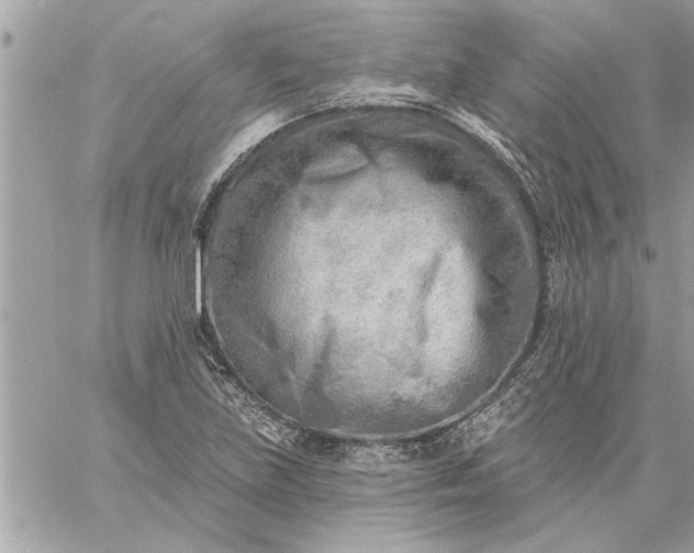 X0000059061219200510171931