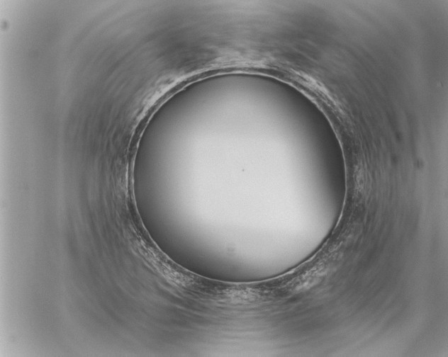 X0000059061220200510171931