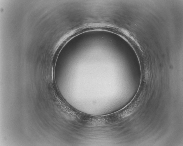 X0000059061221200510171931