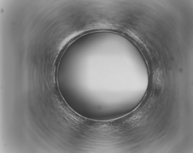 X0000059061222200510171931