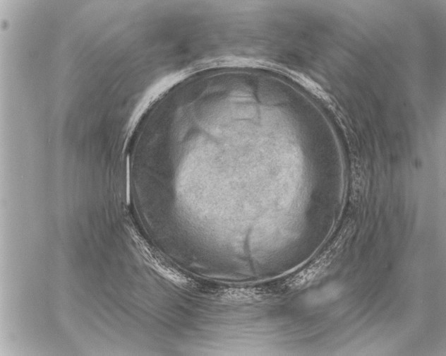 X0000059061223200510171931