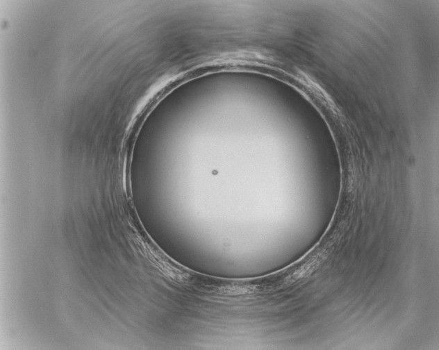 X0000059061224200510171931