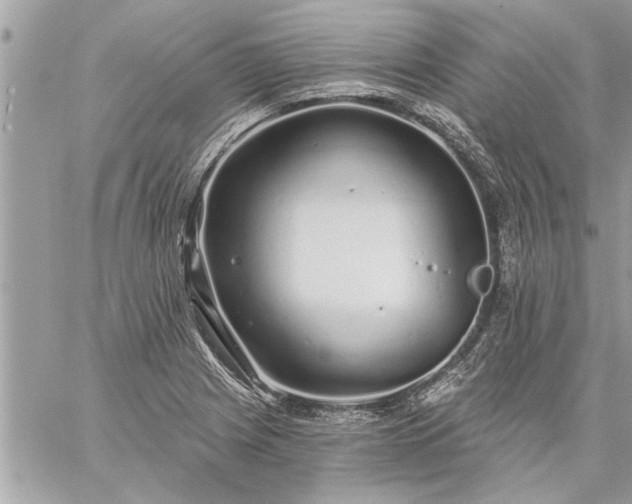 X0000059061225200510171931