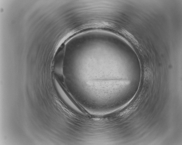 X0000059061226200510171931