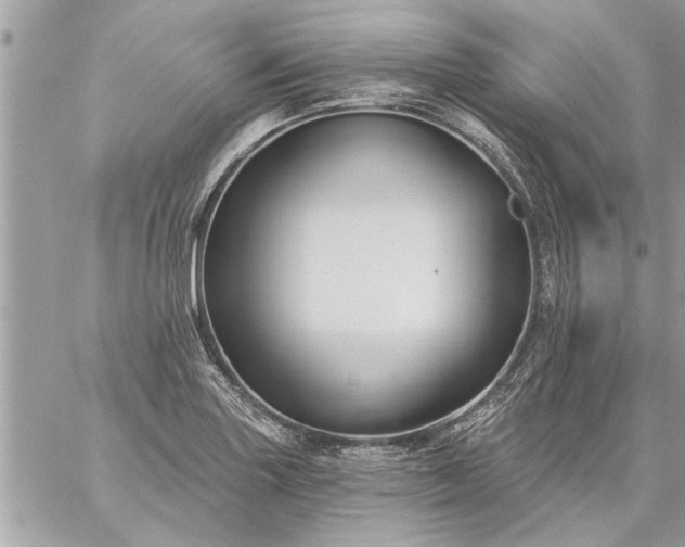 X0000059061227200510171931