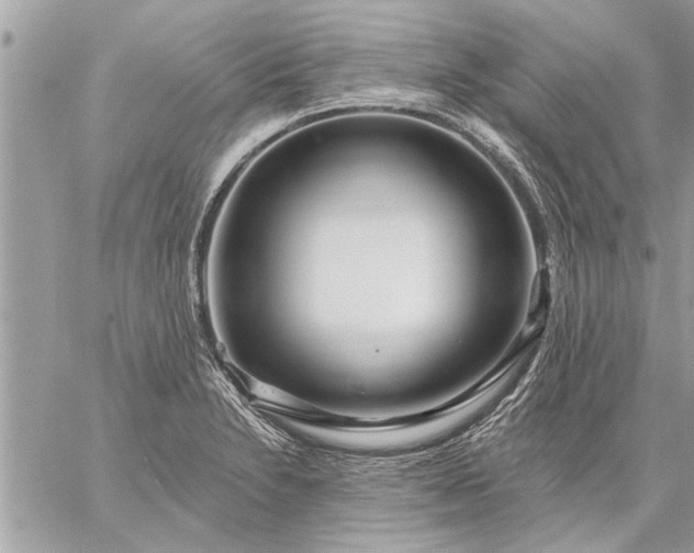 X0000059061230200510171931