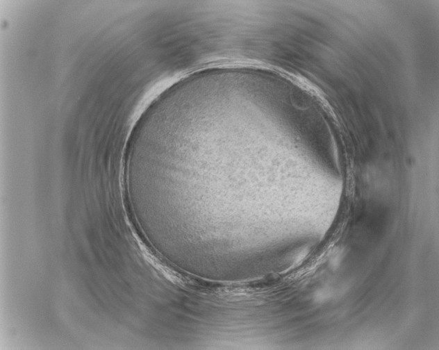 X0000059061231200510171931