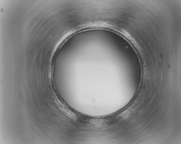 X0000059061232200510171931