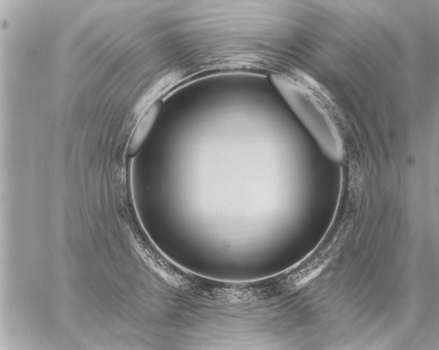 X0000059061234200510171931