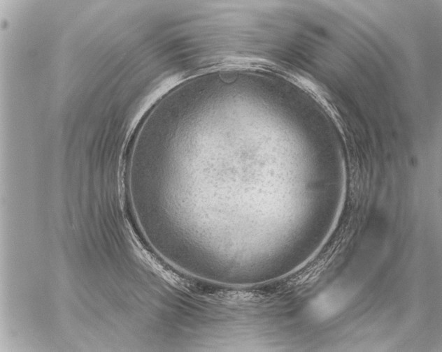 X0000059061235200510171931