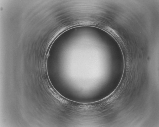 X0000059061236200510171931